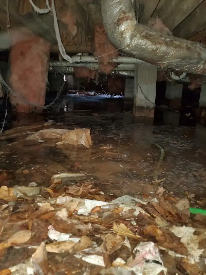 Crawl space flood assessment for Commercial Water Damage Restoration in Martha Lake